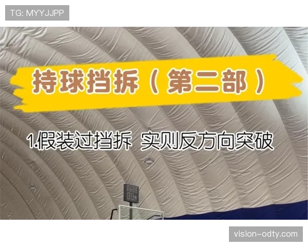 全面解析持球掩护规则的判定标准与细节